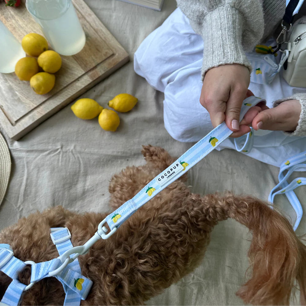 Cocopup London Living La Vida Lemon Lead