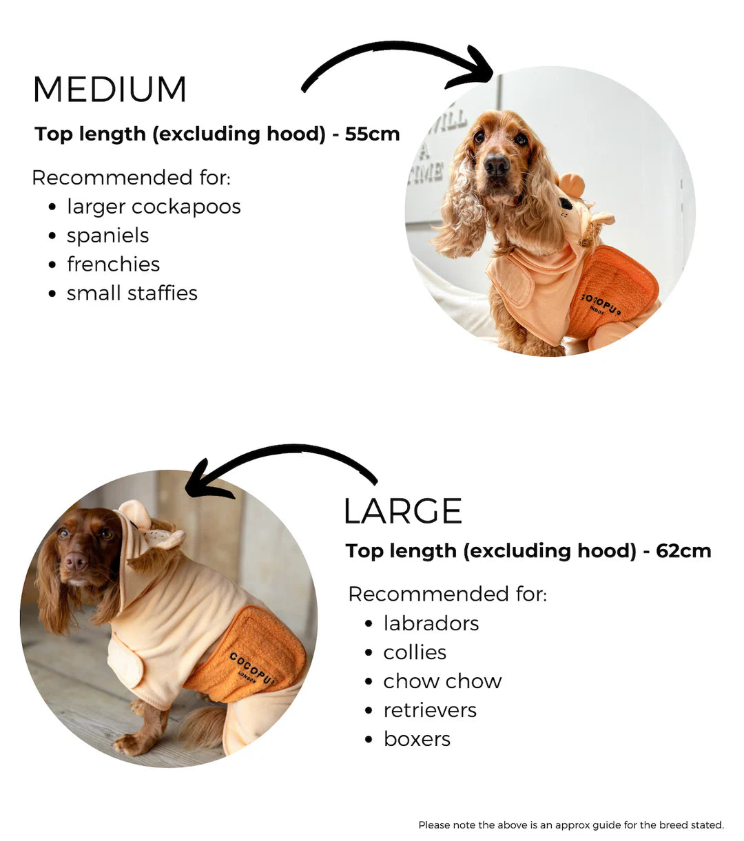 Cocopup London - Roary The Lion Drying Robe