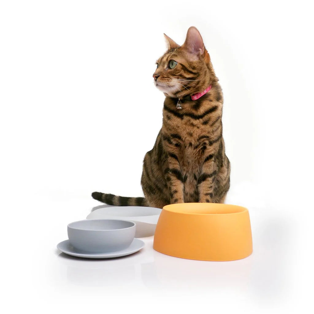 Sleepypod Travel Bowls