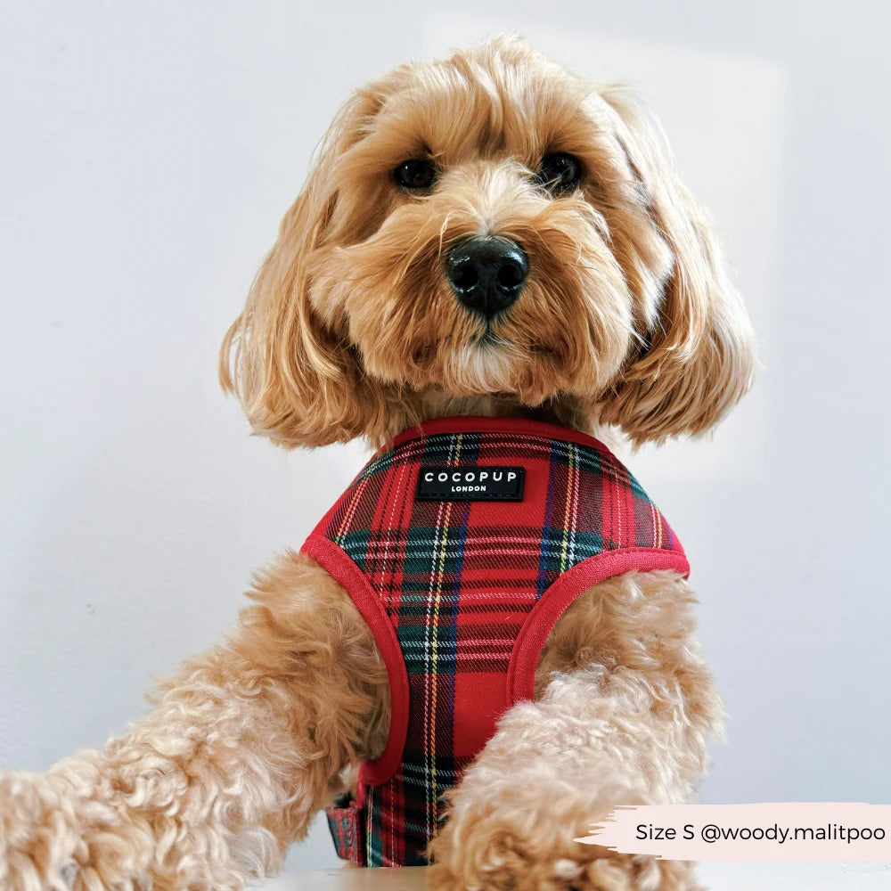 Cocopup London - Tartan Adjustable Neck Harness