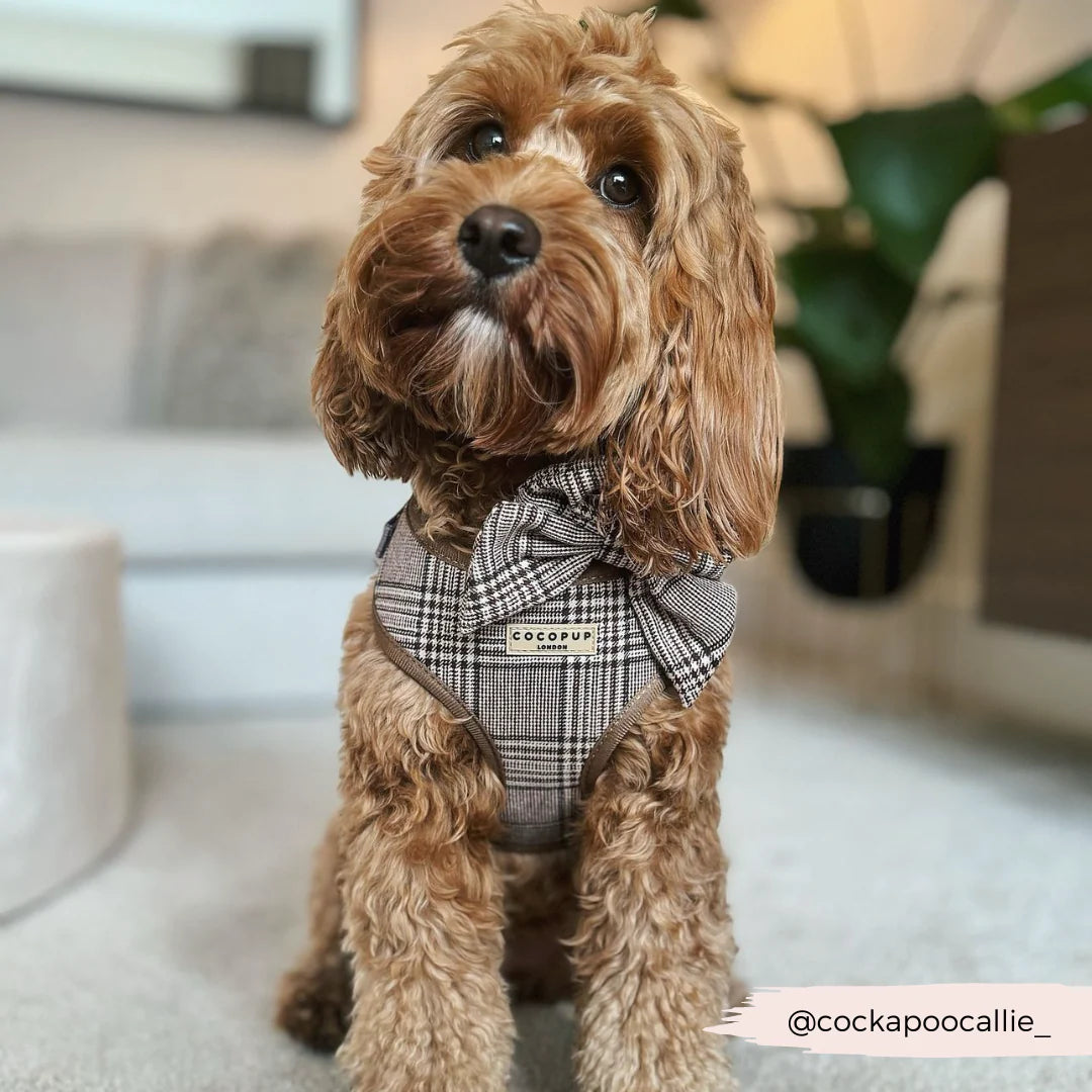 Cocopup London Pup Plaid Adjustable Neck Harness