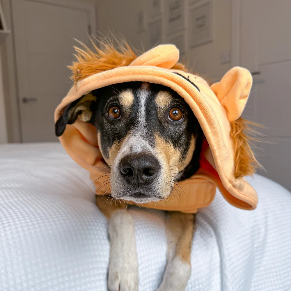 Cocopup London - Roary The Lion Drying Robe