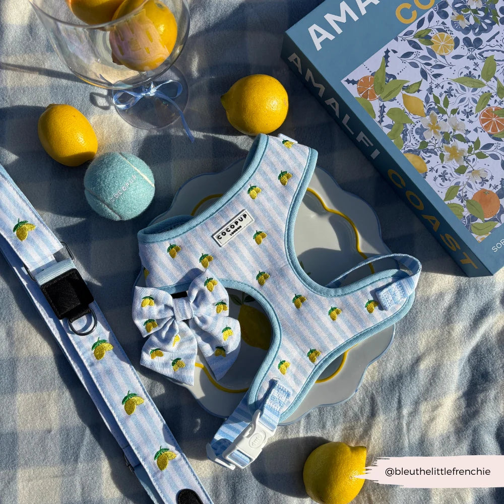 Cocopup London Living La Vida Lemon Adjustable Neck Harness