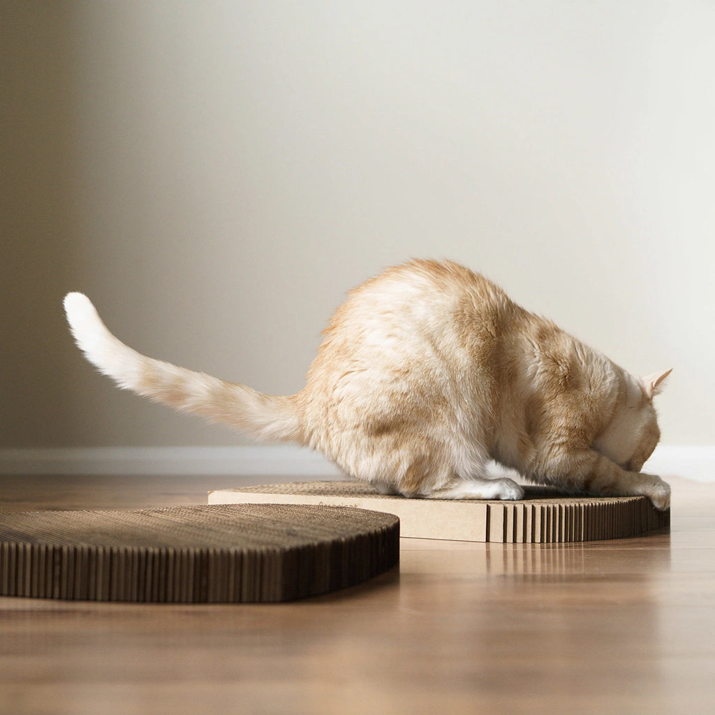 Cardboard Cat Scratcher