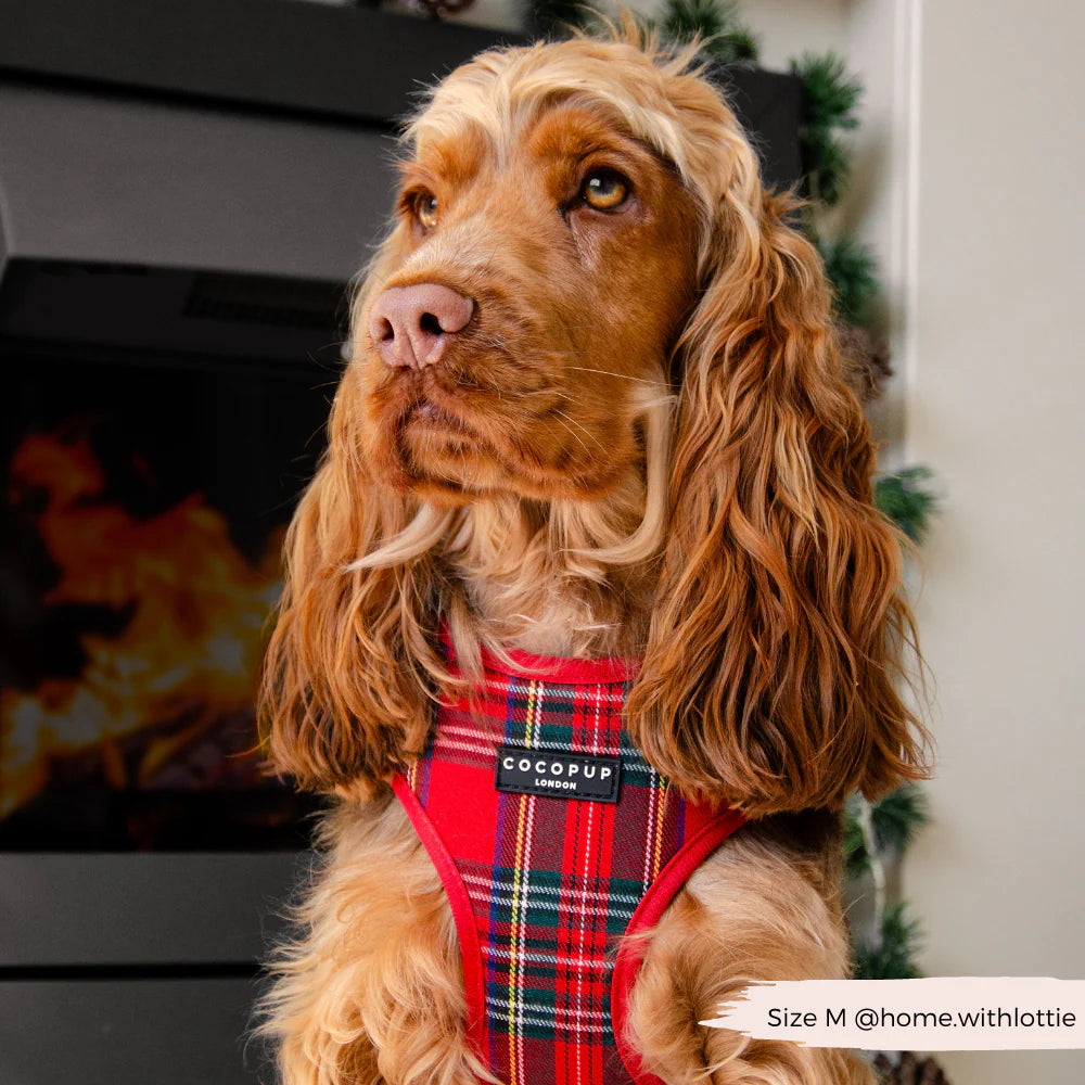Cocopup London - Tartan Adjustable Neck Harness