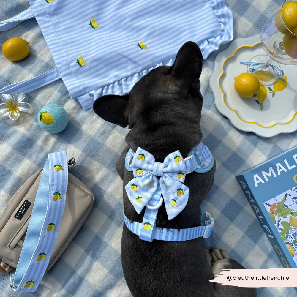 Cocopup London Living La Vida Lemon Sailor Bow Tie