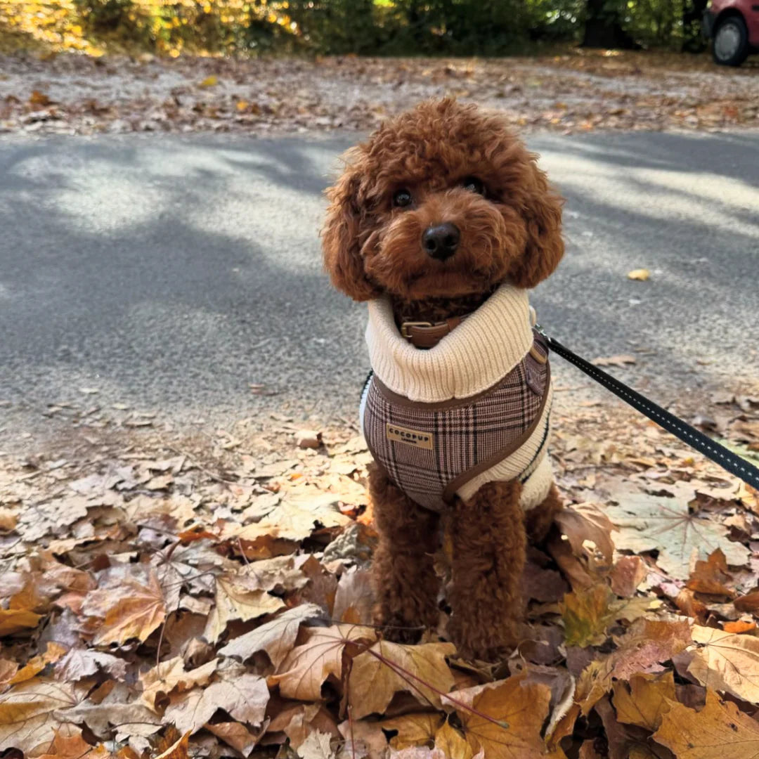 Cocopup London Pup Plaid Adjustable Neck Harness