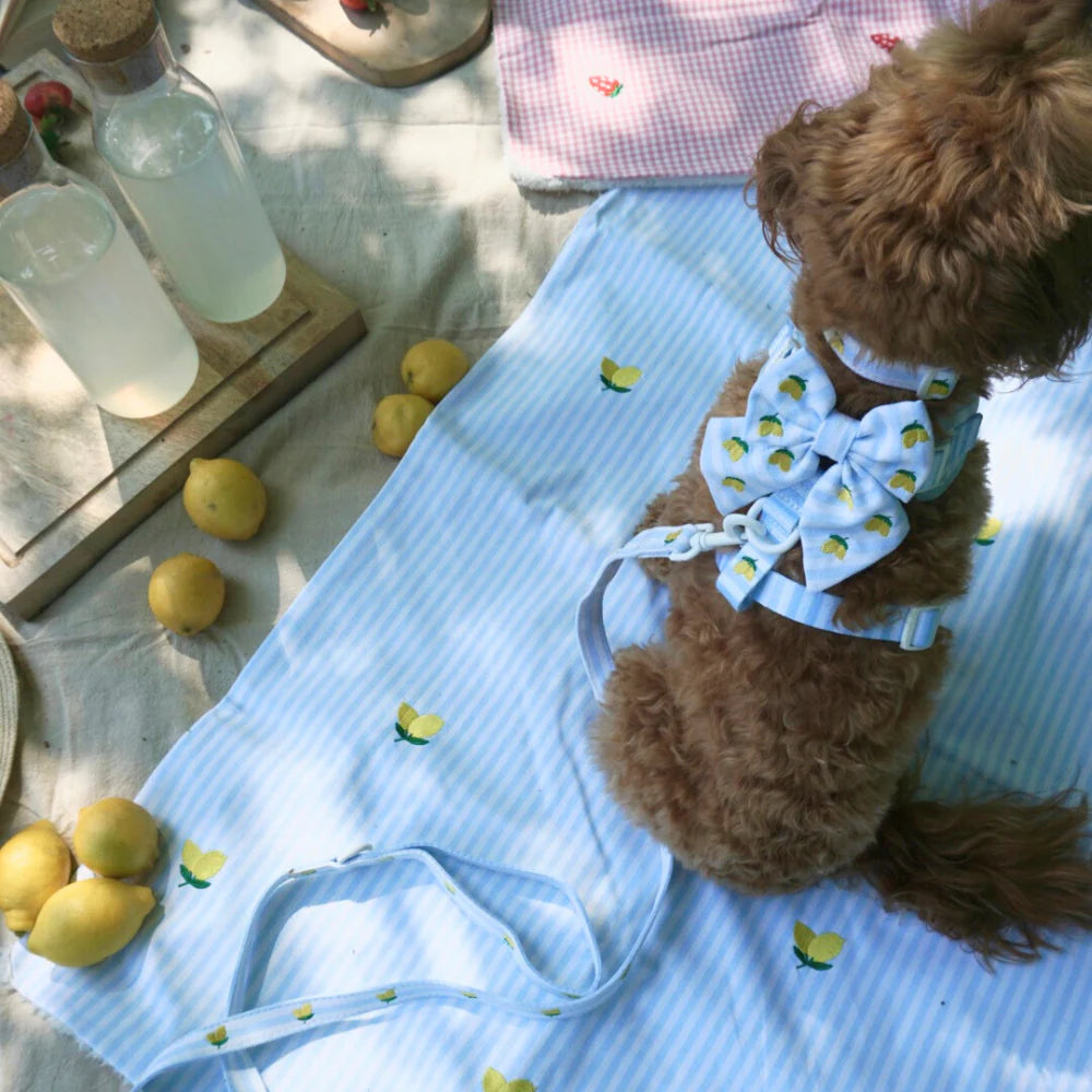 Cocopup London Living La Vida Lemon Sailor Bow Tie
