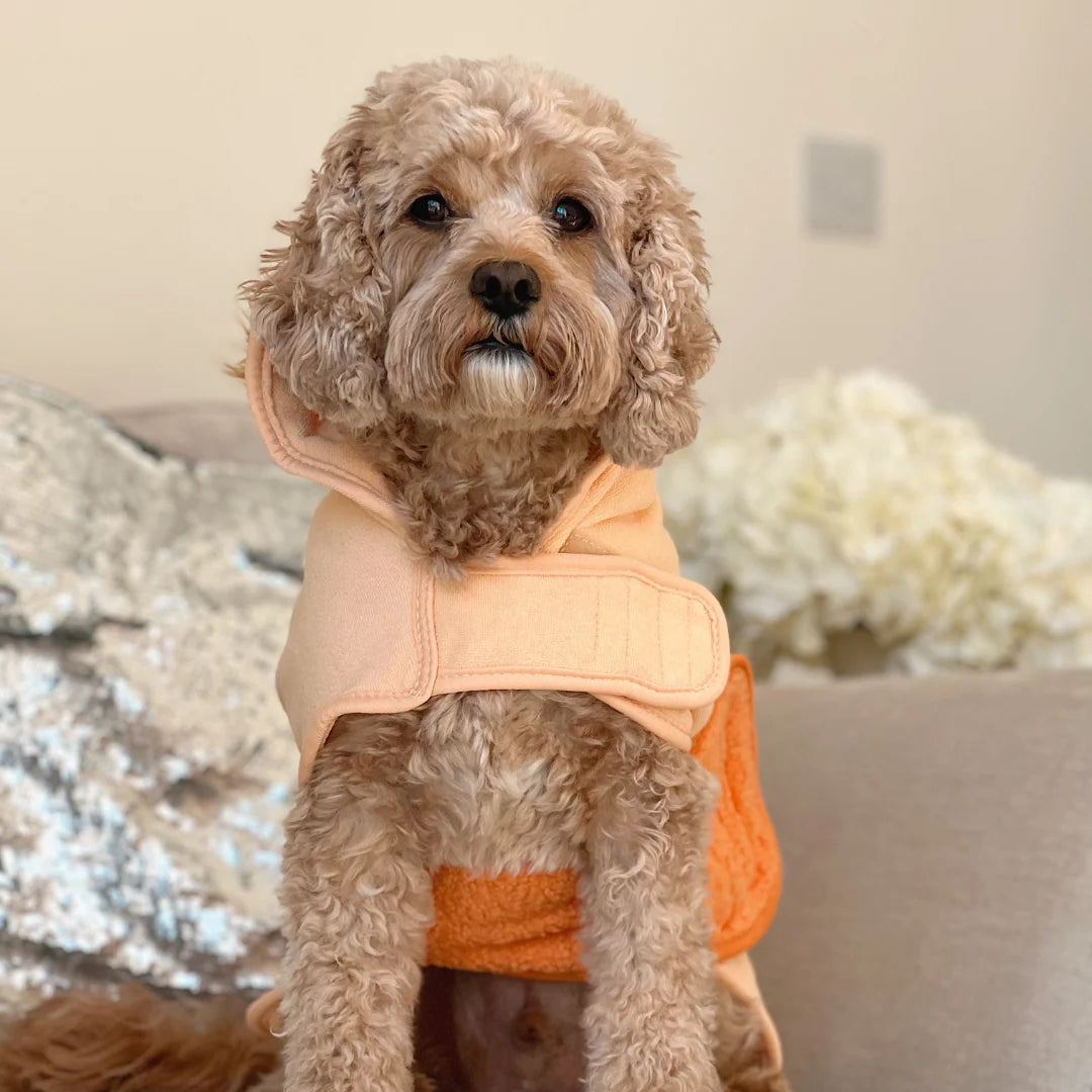 Cocopup London - Roary The Lion Drying Robe