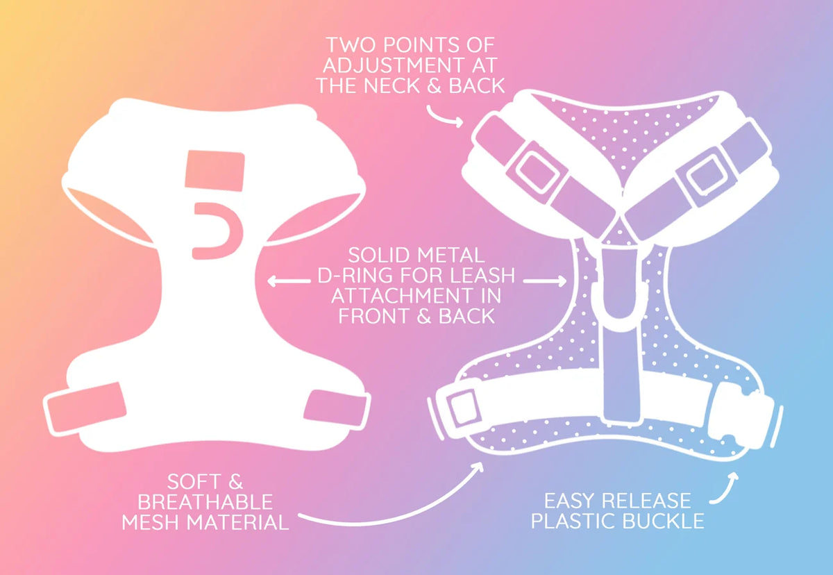 Sassy Woof Dog Adjustable Harness - Care Bears™ Care-A-Lot
