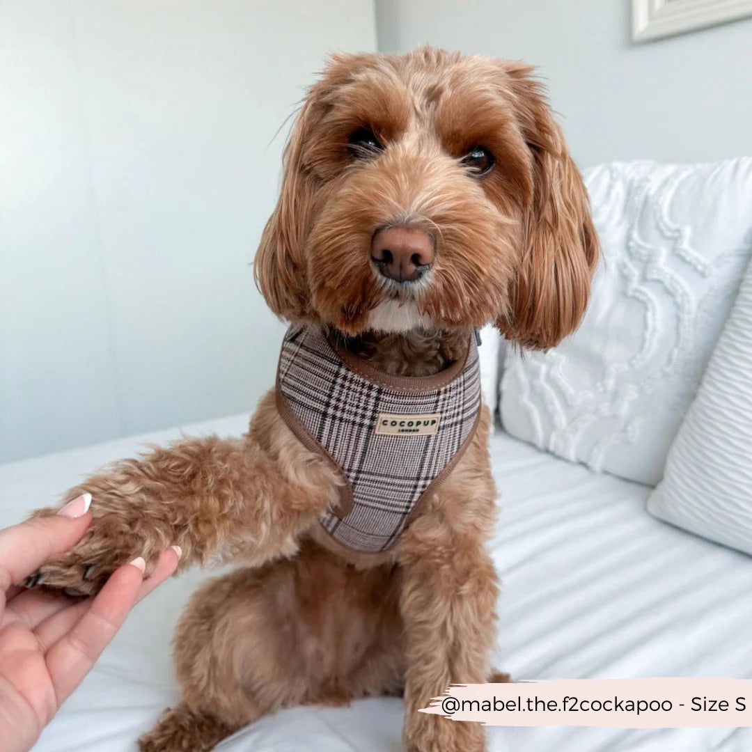 Cocopup London Pup Plaid Adjustable Neck Harness