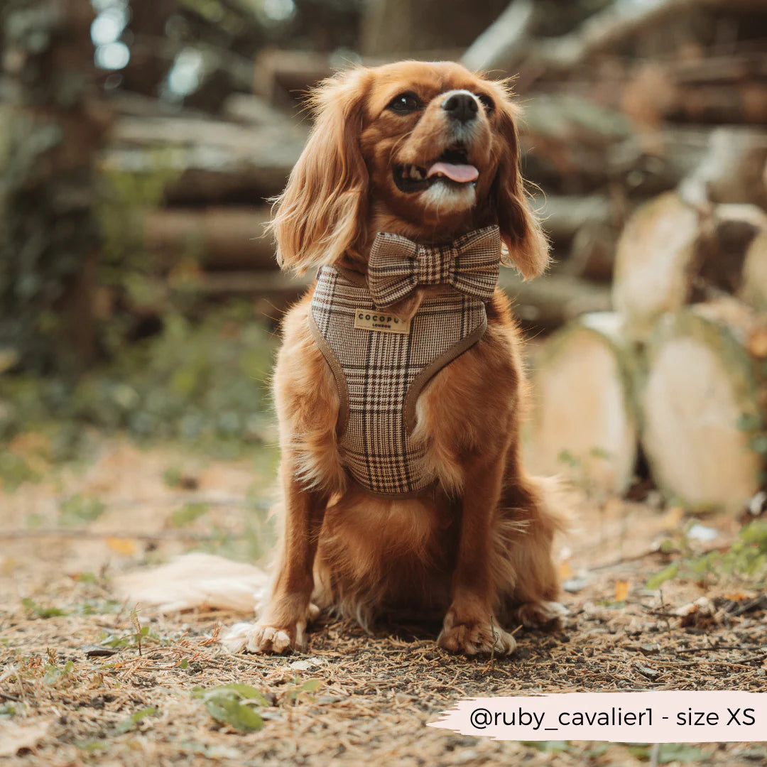 Cocopup London Pup Plaid Adjustable Neck Harness