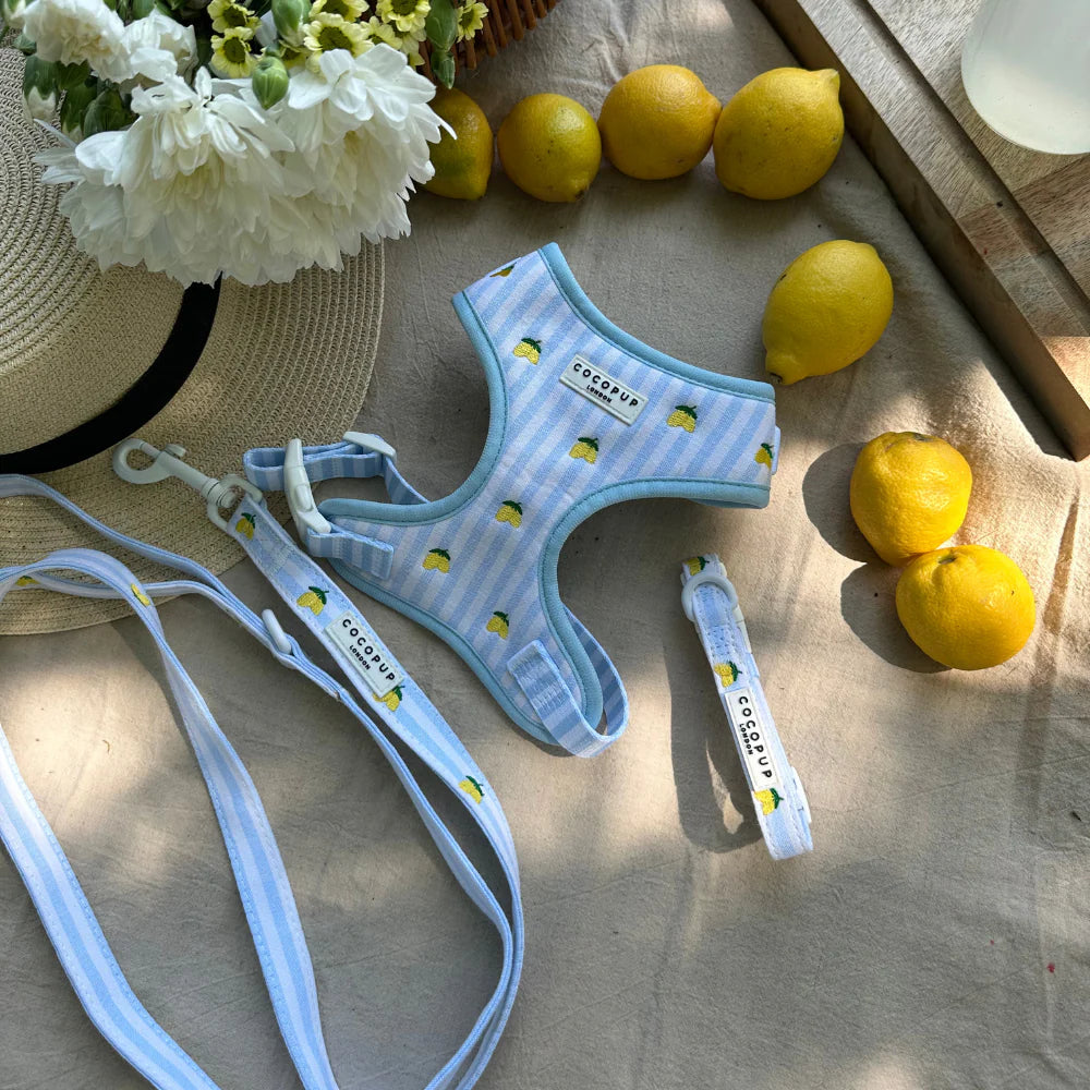 Cocopup London Living La Vida Lemon Lead