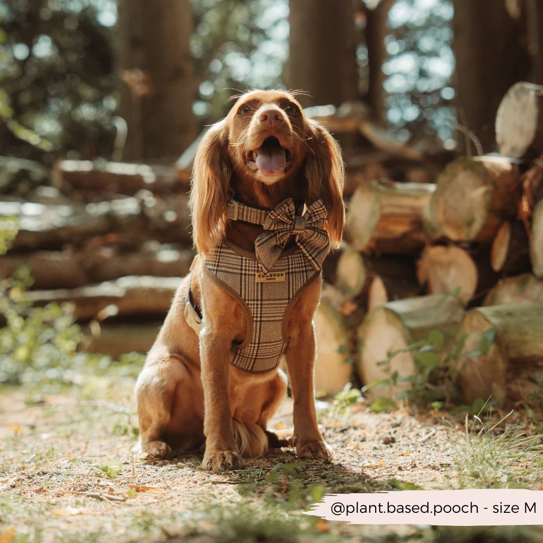 Cocopup London Pup Plaid Adjustable Neck Harness