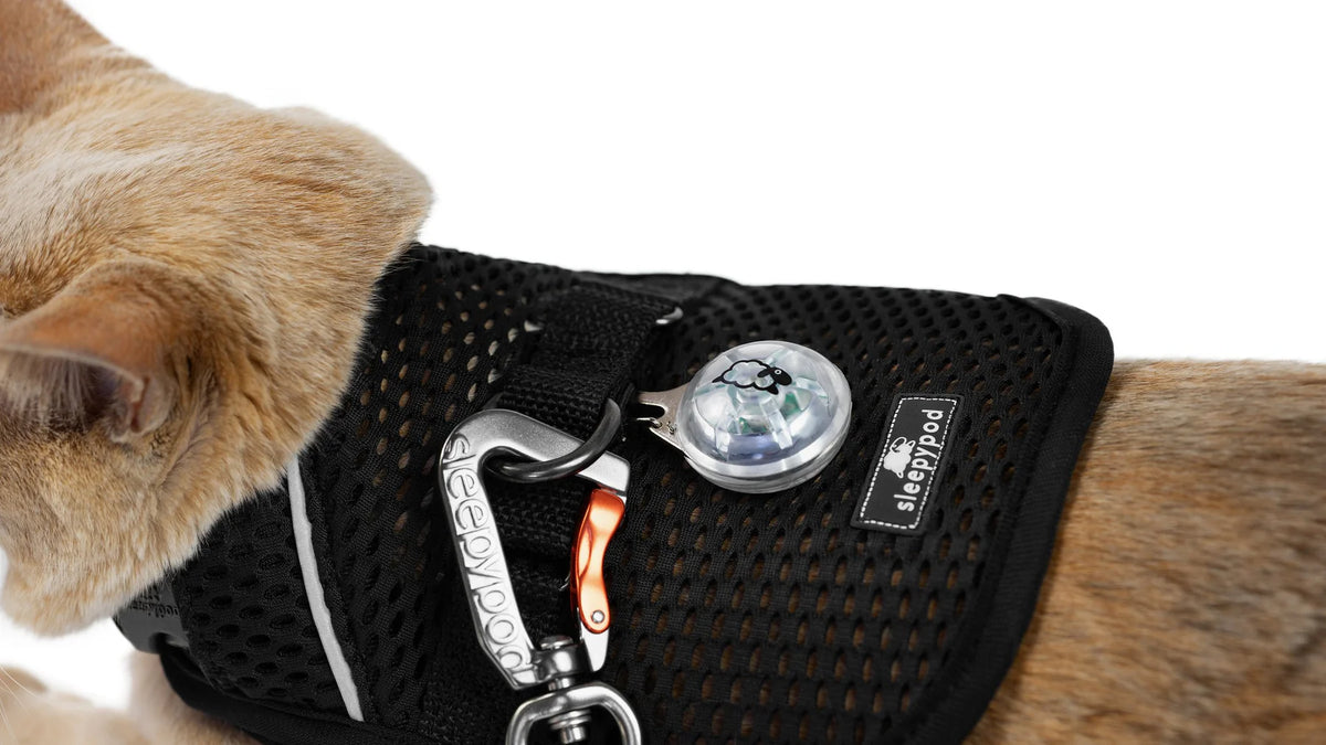 Sleepypod Martingale Calming Harness for cats