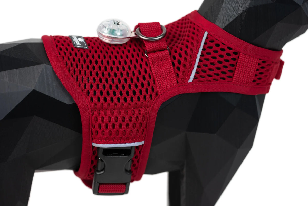 Sleepypod Martingale Calming Harness for cats