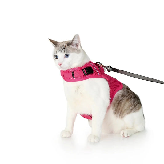 Sleepypod Martingale Calming Harness for cats