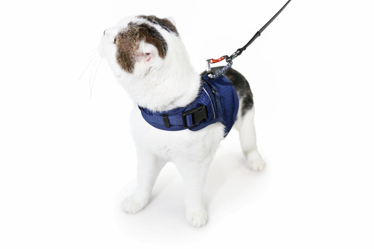 Sleepypod Martingale Calming Harness for cats