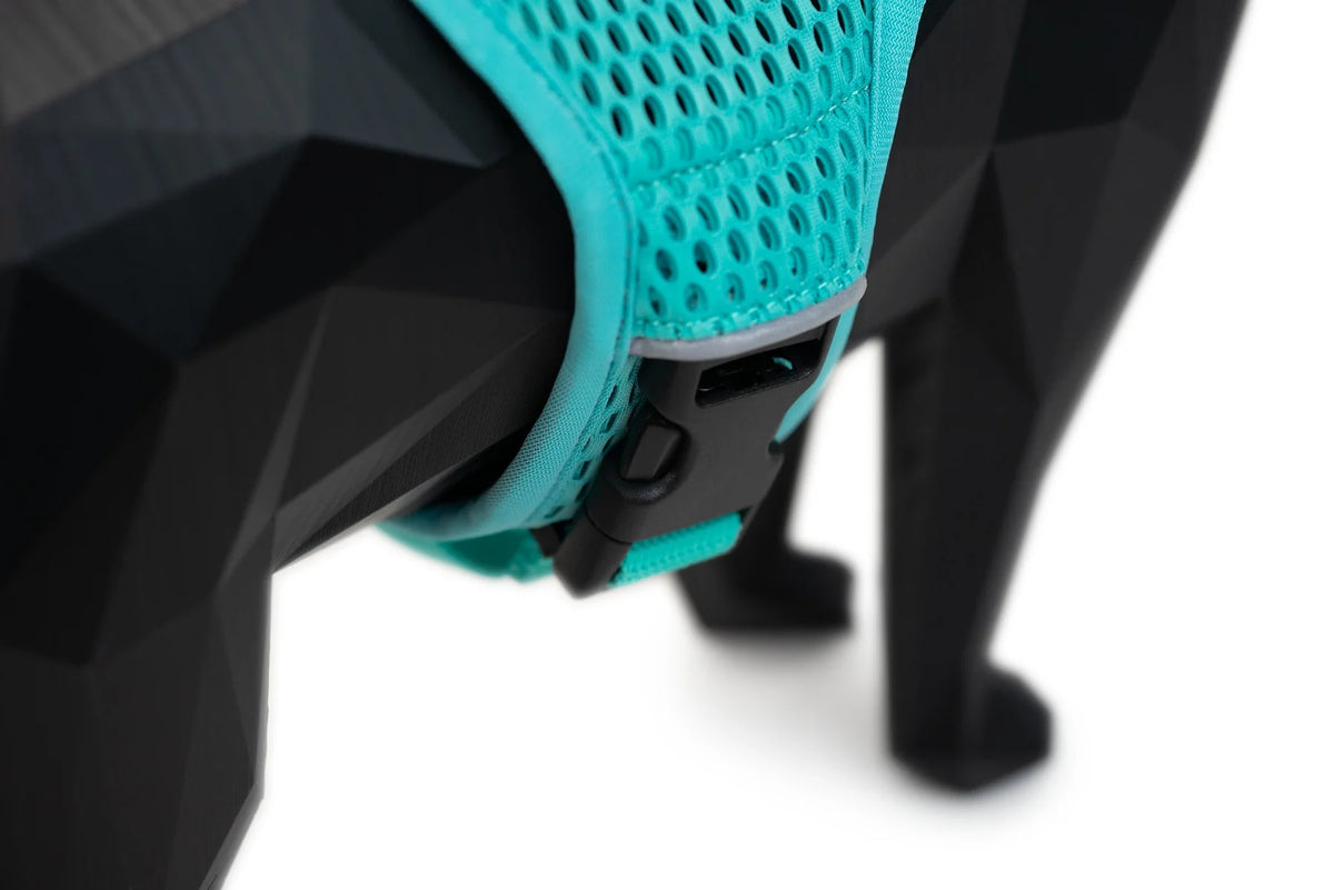 Sleepypod Martingale Calming Harness for cats
