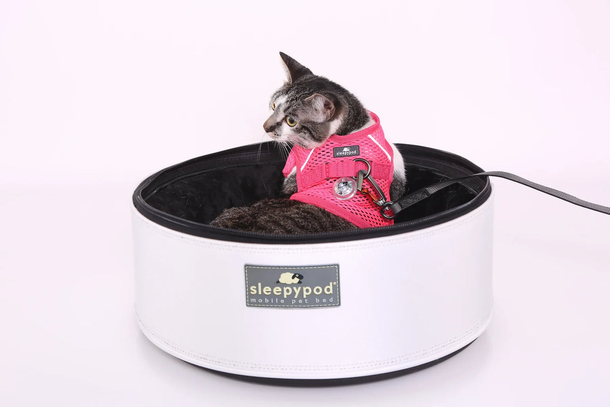 Sleepypod Martingale Calming Harness for cats