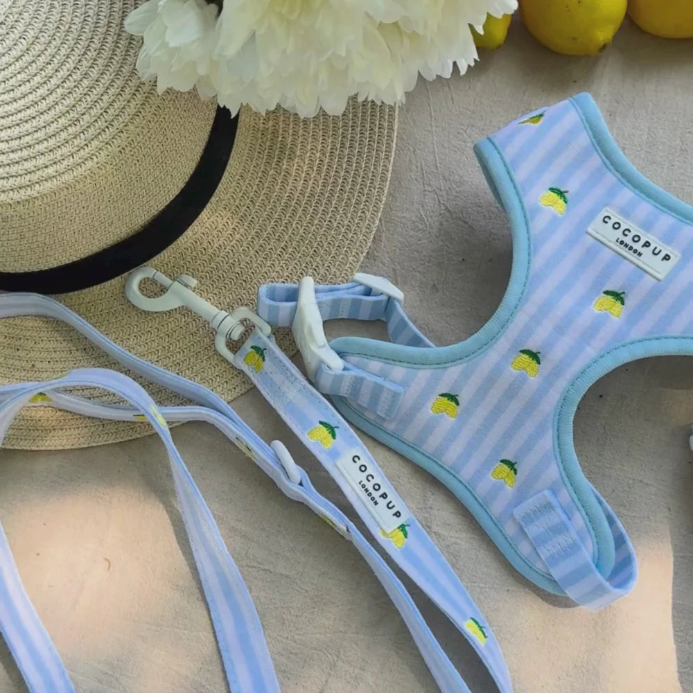 Cocopup London Living La Vida Lemon Adjustable Neck Harness