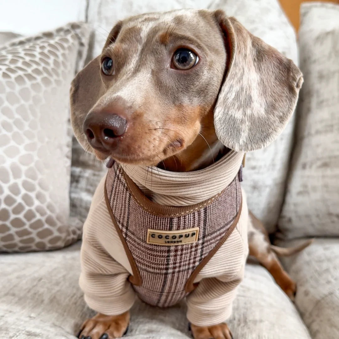 Cocopup London Pup Plaid Adjustable Neck Harness