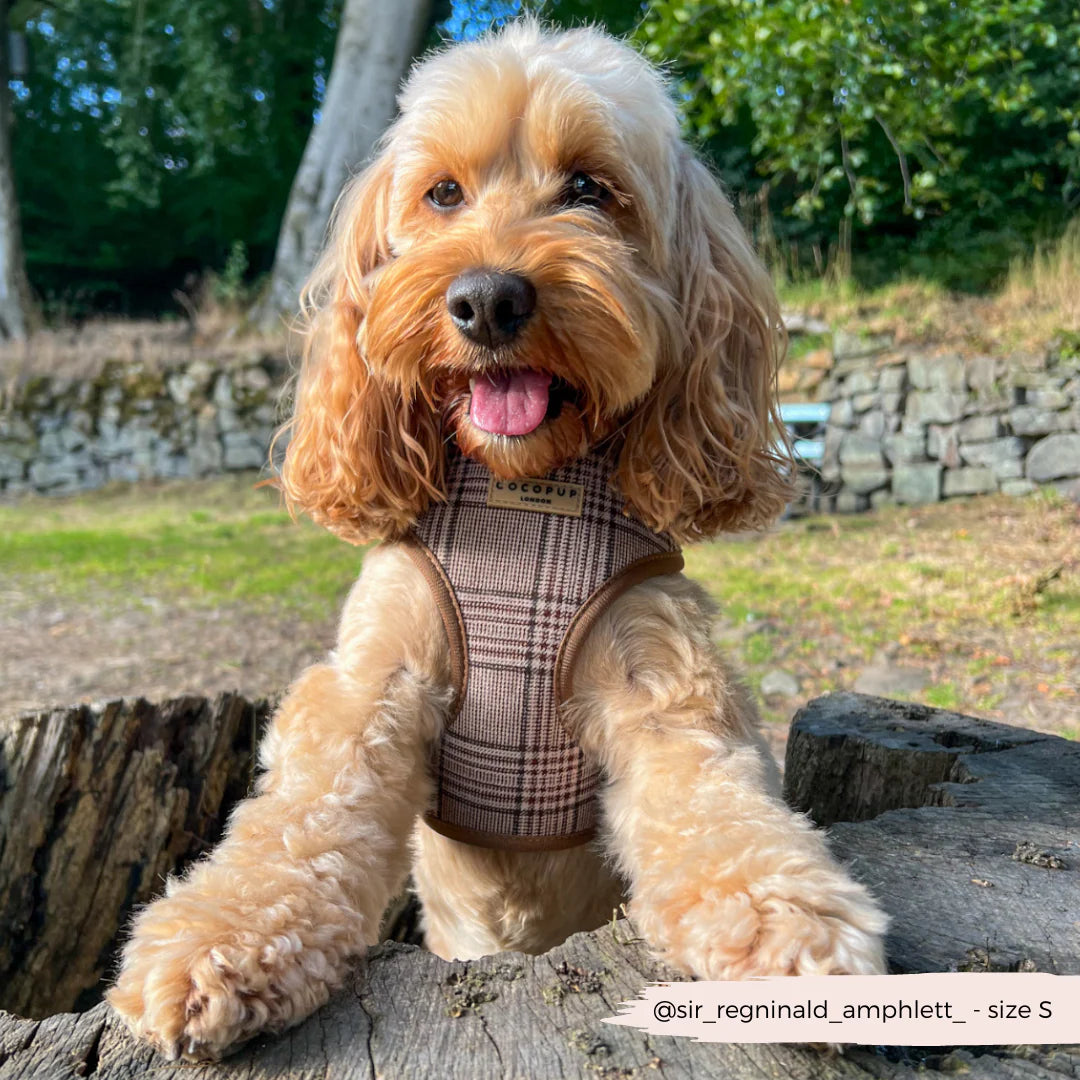Cocopup London Pup Plaid Adjustable Neck Harness