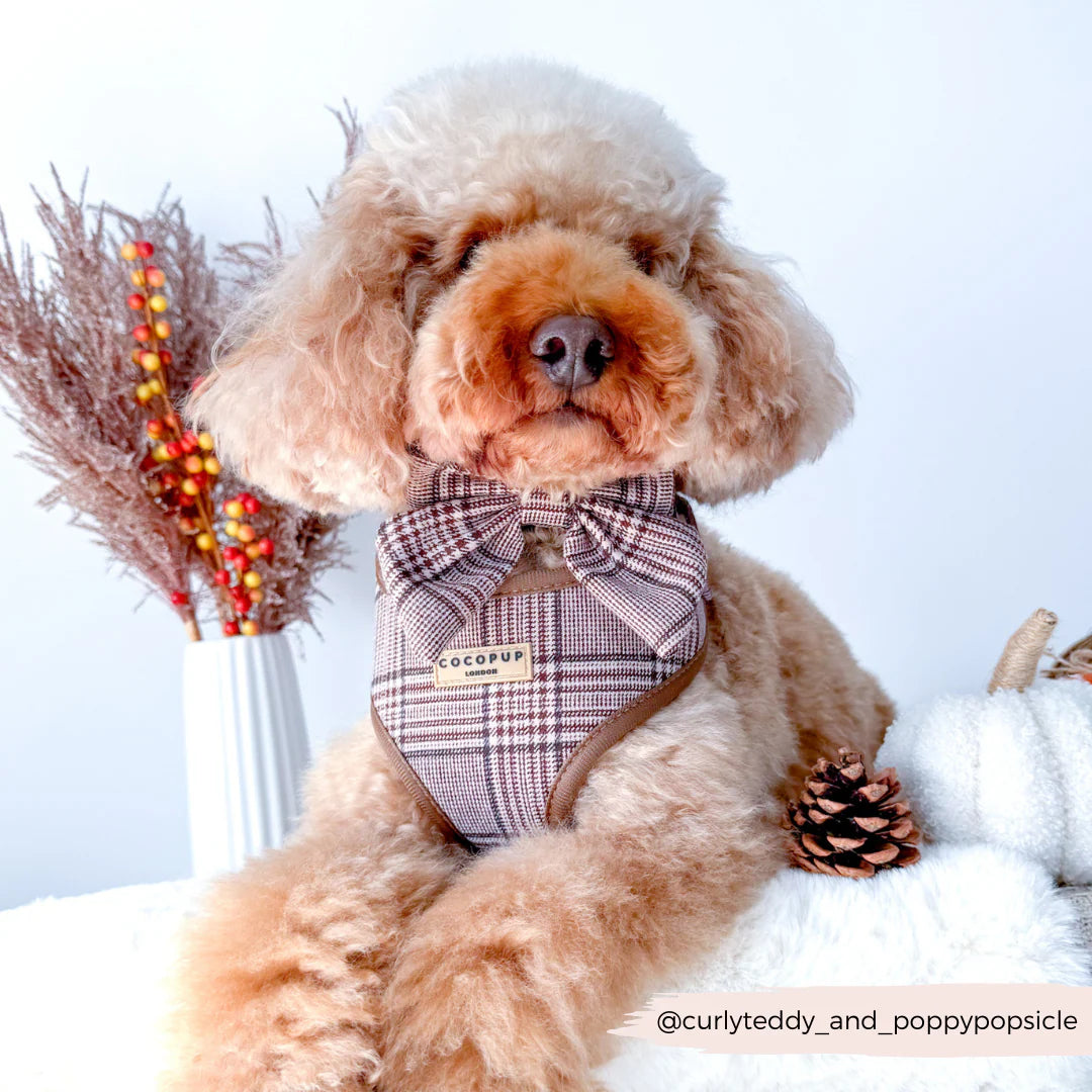 Cocopup London Pup Plaid Adjustable Neck Harness