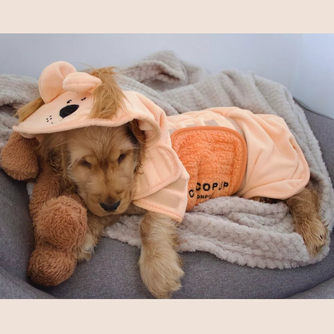 Cocopup London - Roary The Lion Drying Robe