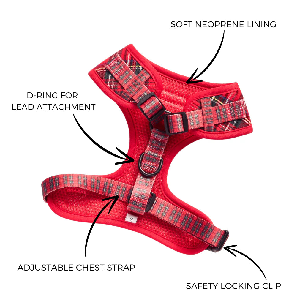 Cocopup London - Tartan Adjustable Neck Harness