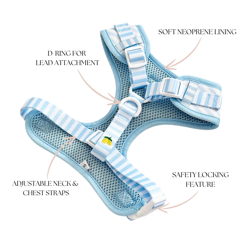 Cocopup London Living La Vida Lemon Adjustable Neck Harness