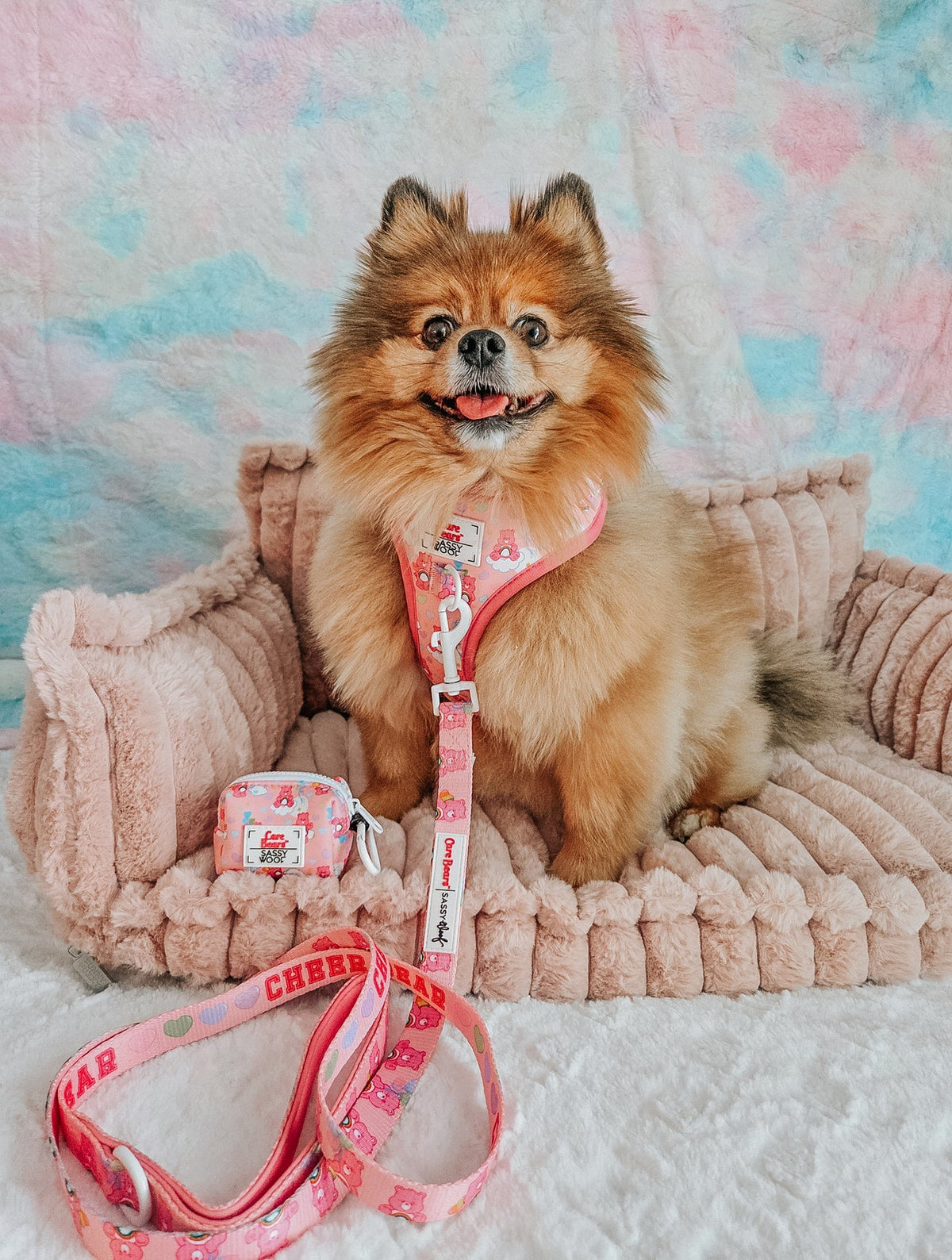 Sassy Woof Dog Adjustable Harness - Care Bears™ Cheer Bear