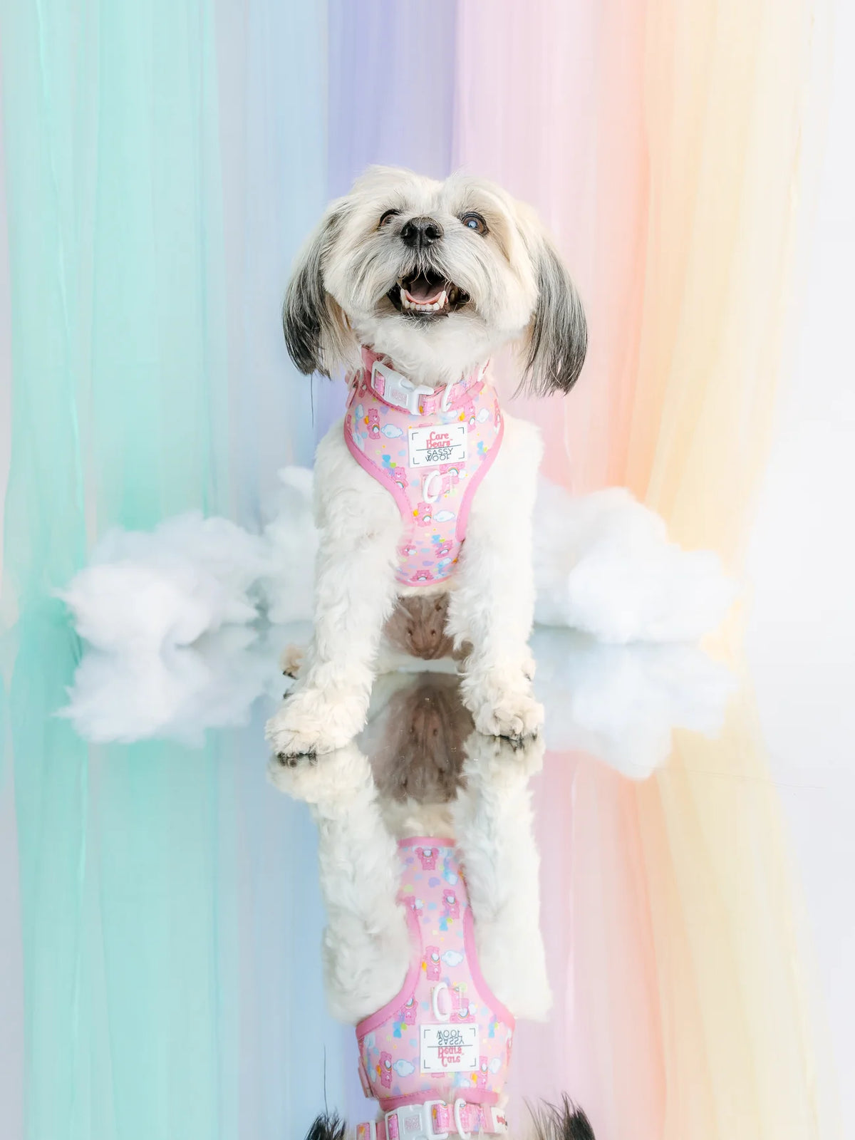 Sassy Woof Dog Adjustable Harness - Care Bears™ Cheer Bear