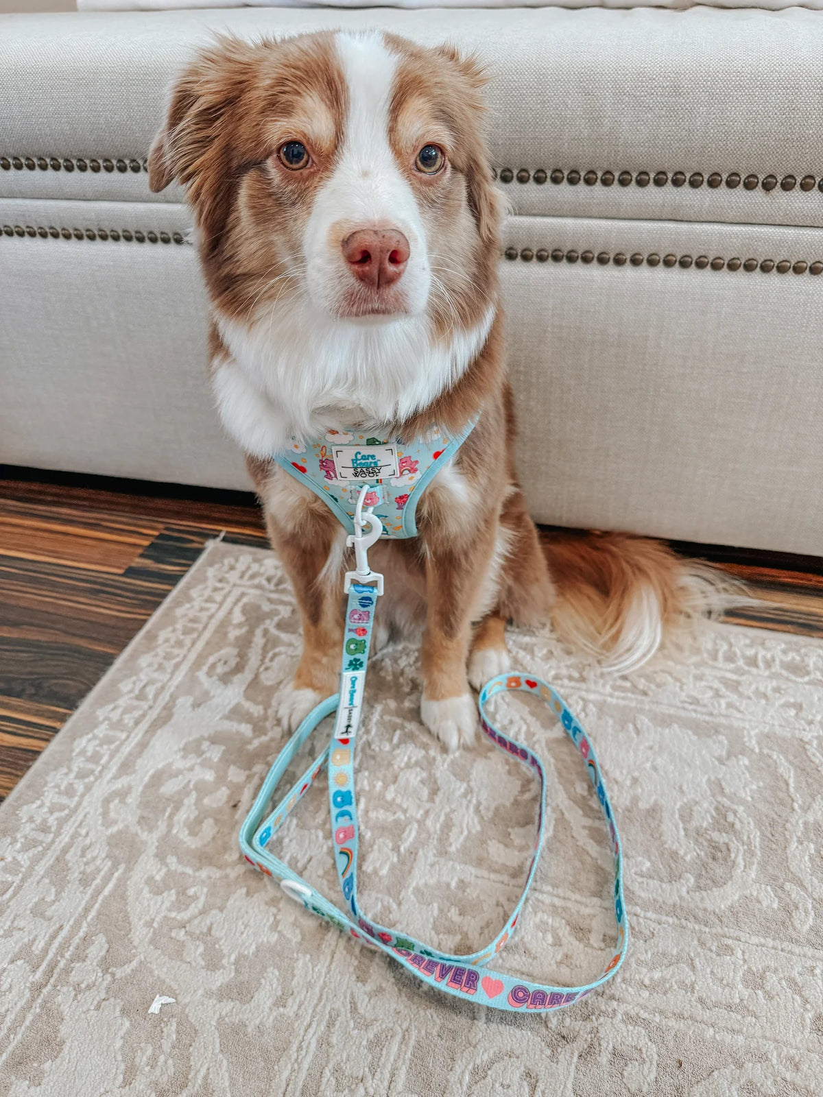 Sassy Woof Dog Adjustable Harness - Care Bears™ Care-A-Lot