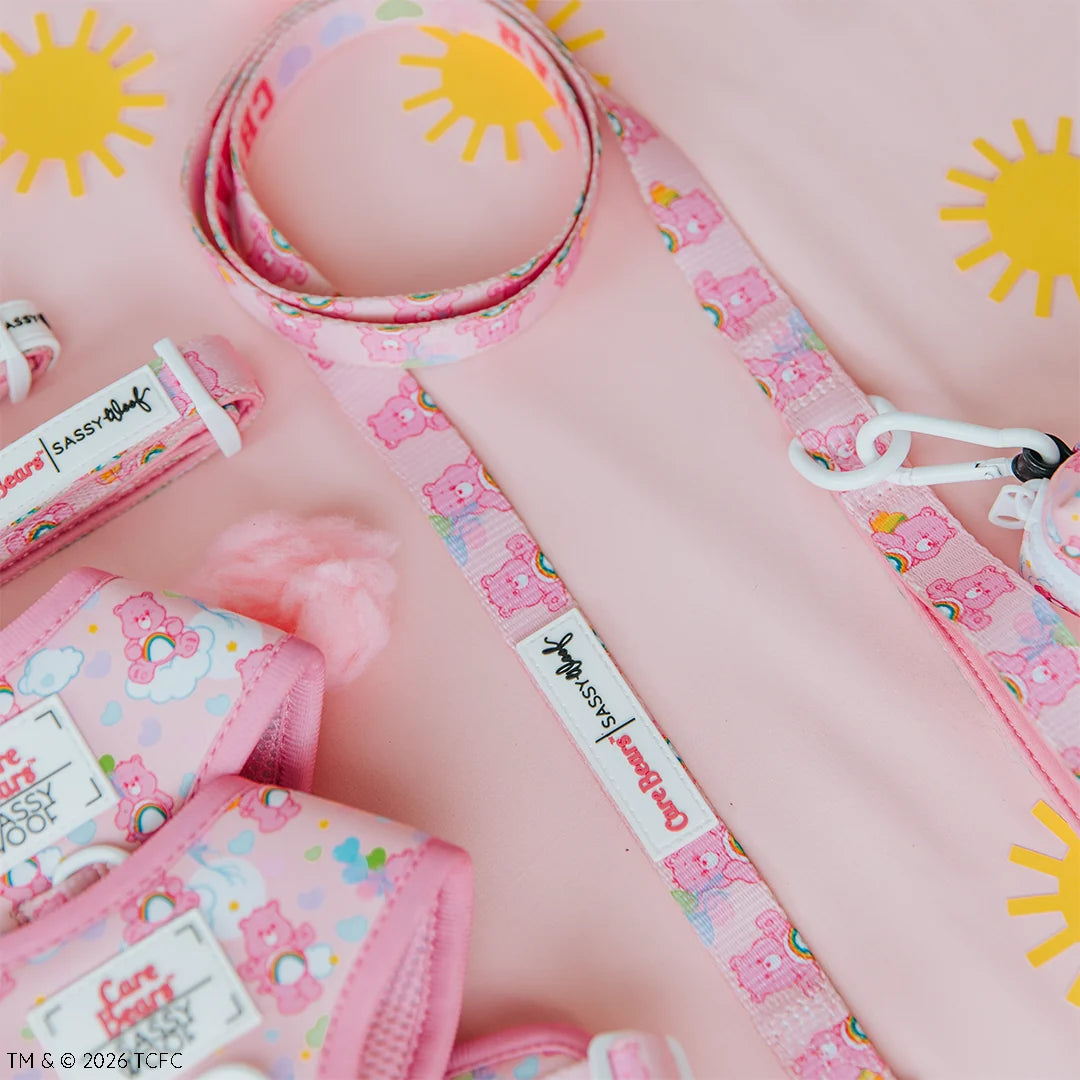Sassy Woof Dog Leash - Care Bears™ Cheer Bear