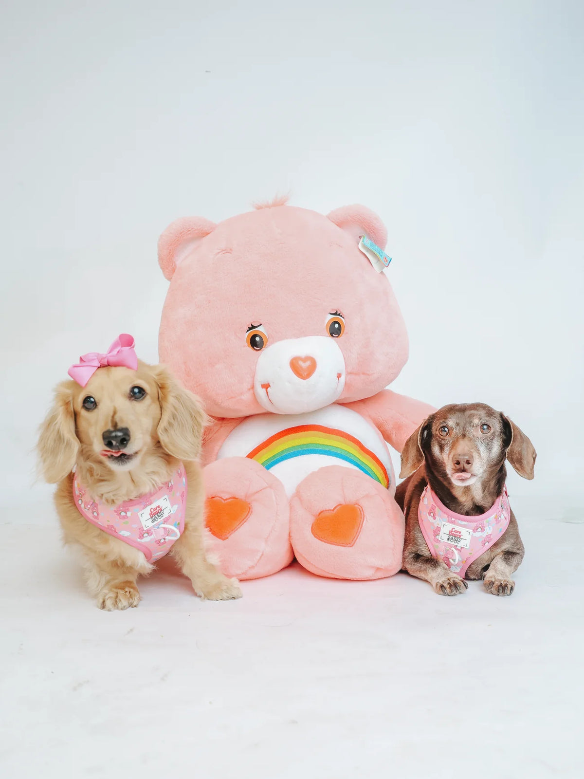 Sassy Woof Dog Adjustable Harness - Care Bears™ Cheer Bear