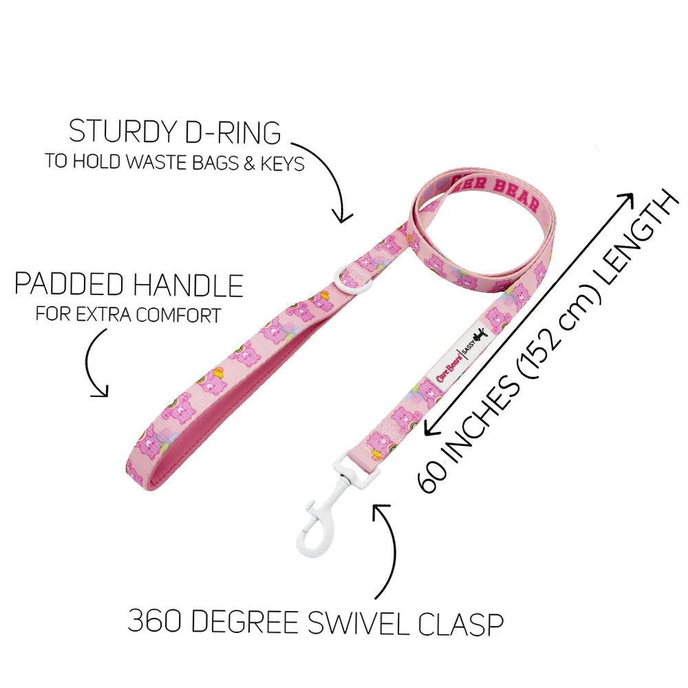 Sassy Woof Dog Leash - Care Bears™ Cheer Bear