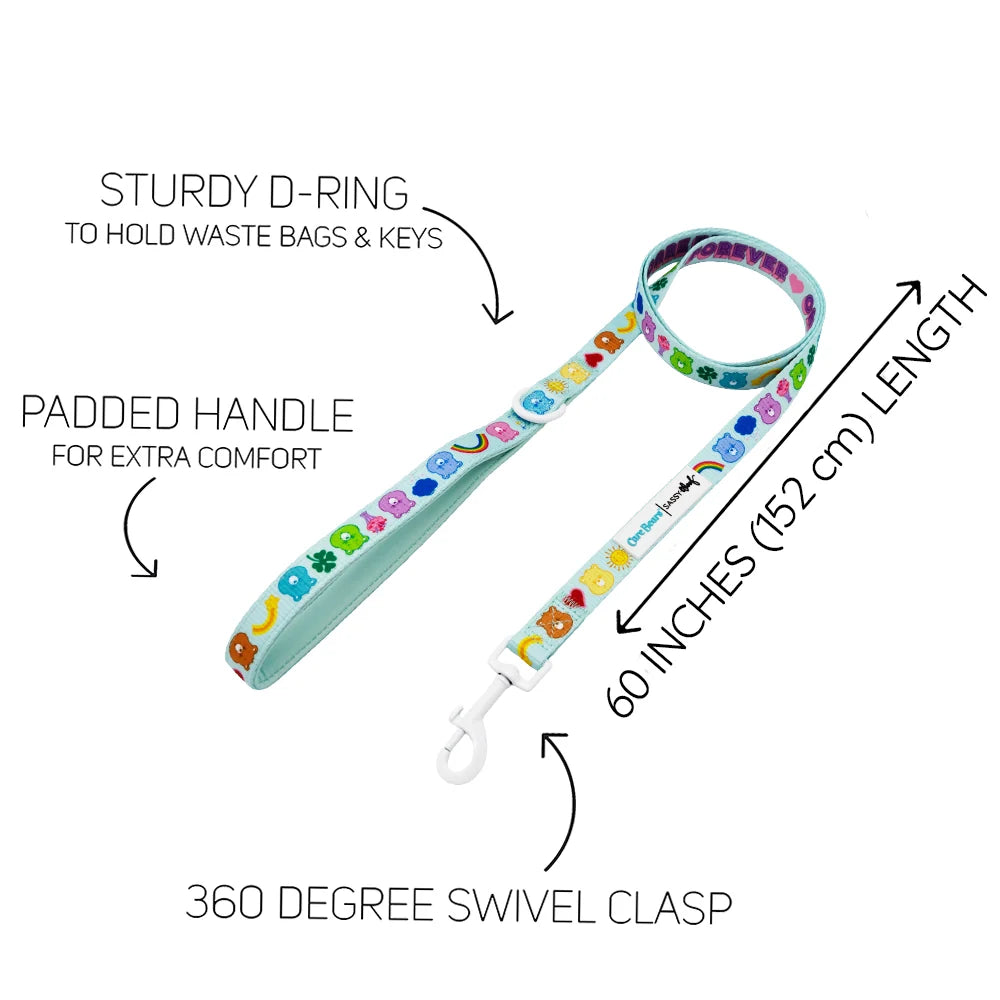 Sassy Woof Dog Leash - Care Bears™ Care-A-Lot