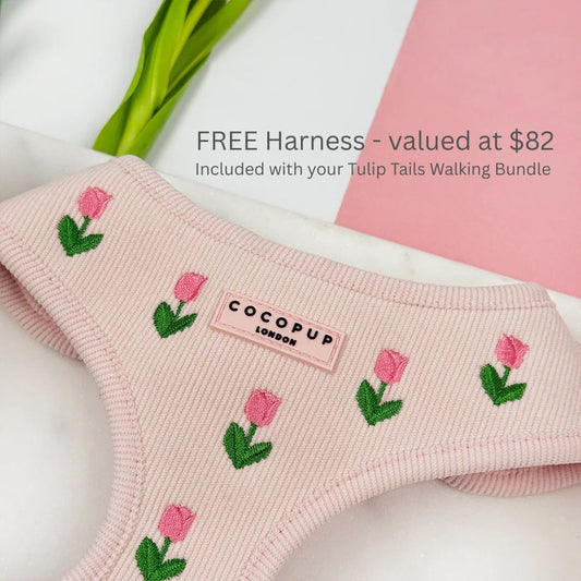 Cocopup London - Tulip Tails Walking Bundle