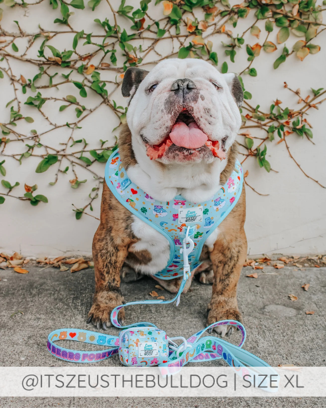 Sassy Woof Dog Adjustable Harness - Care Bears™ Care-A-Lot