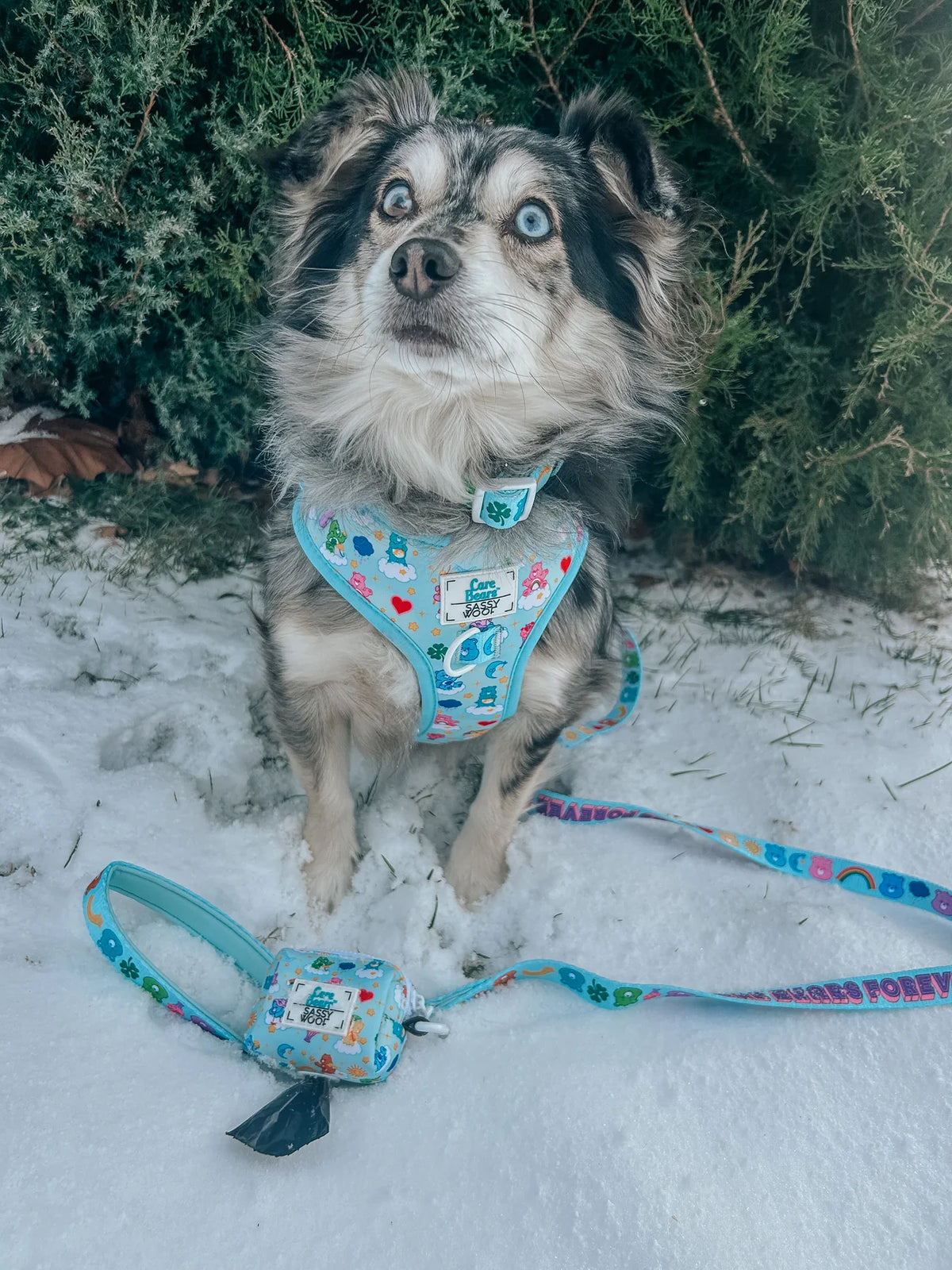 Sassy Woof Dog Adjustable Harness - Care Bears™ Care-A-Lot