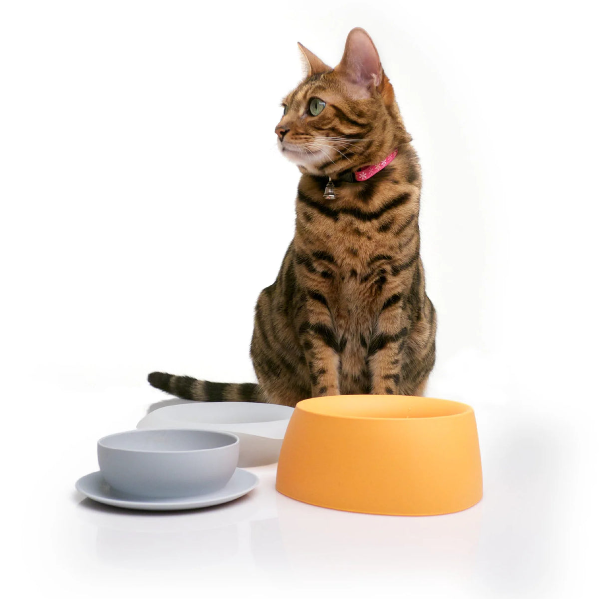 Sleepypod Travel Bowls