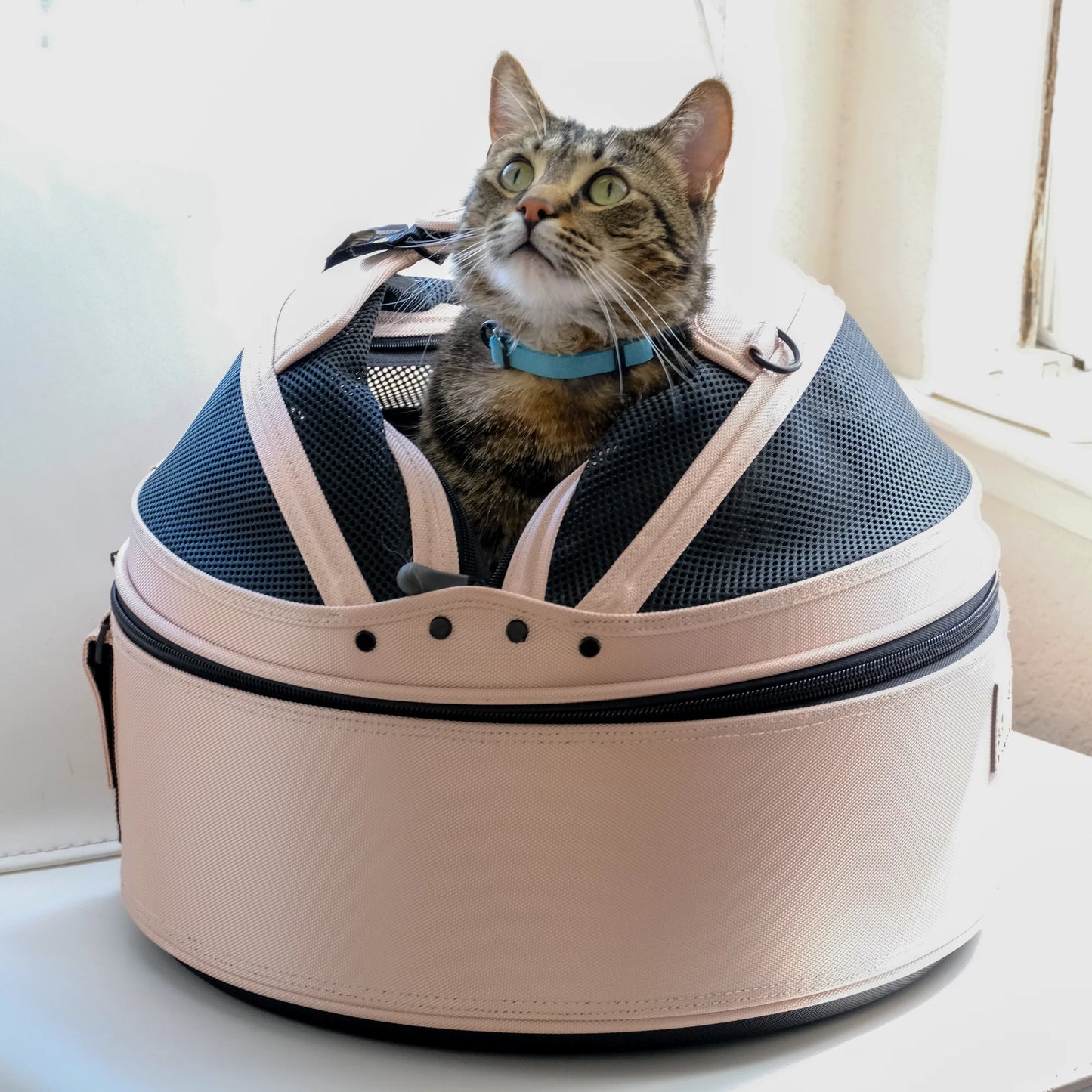 Sleepypod Mobile Pet Bed - First Blush