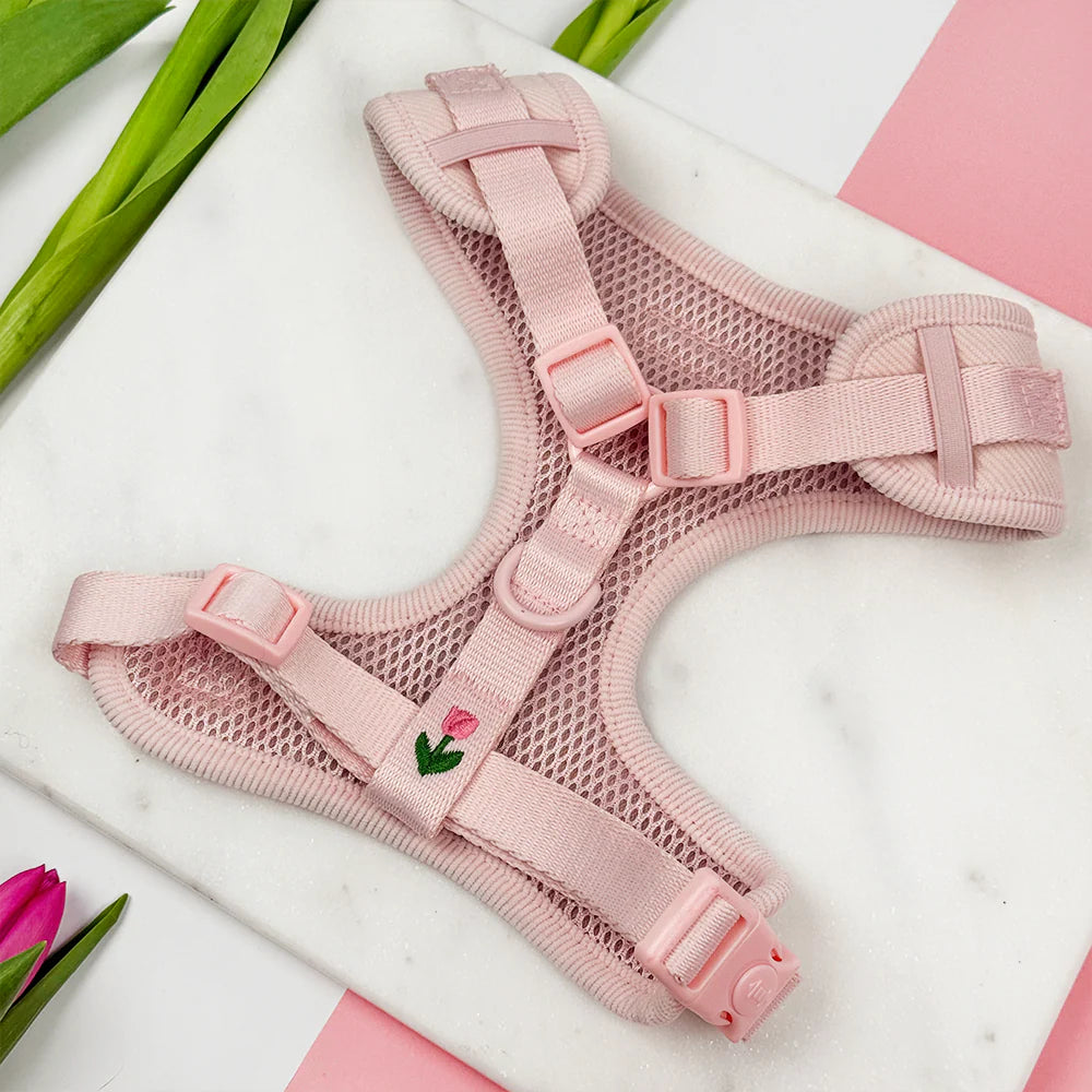 Cocopup London - Tulip Tails Adjustable Neck Harness