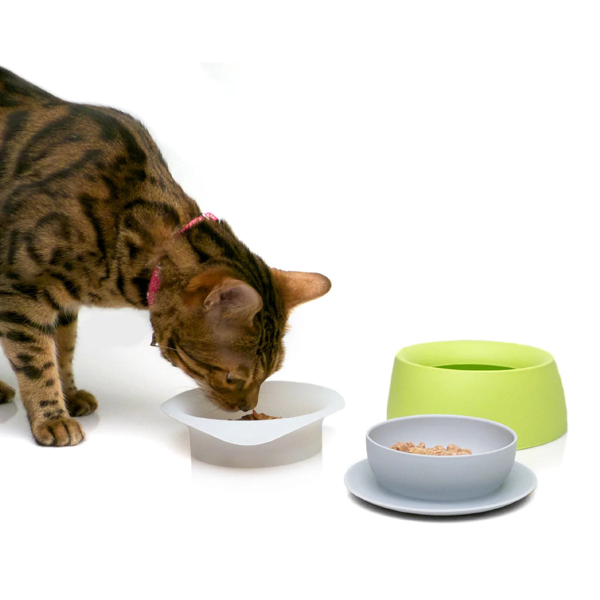 Sleepypod Travel Bowls