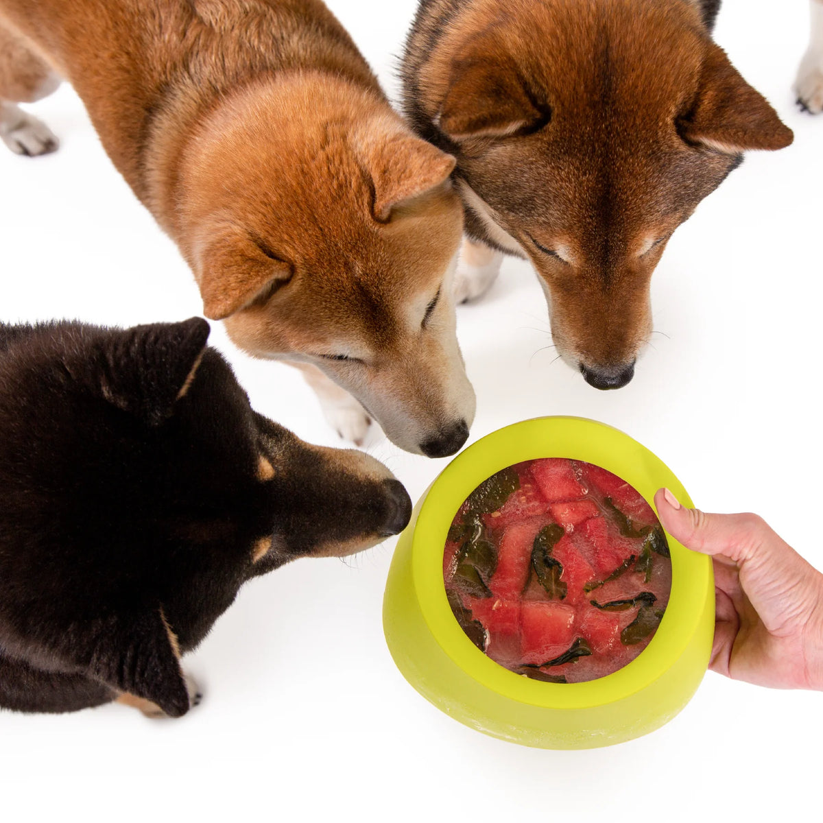 Sleepypod Travel Bowls