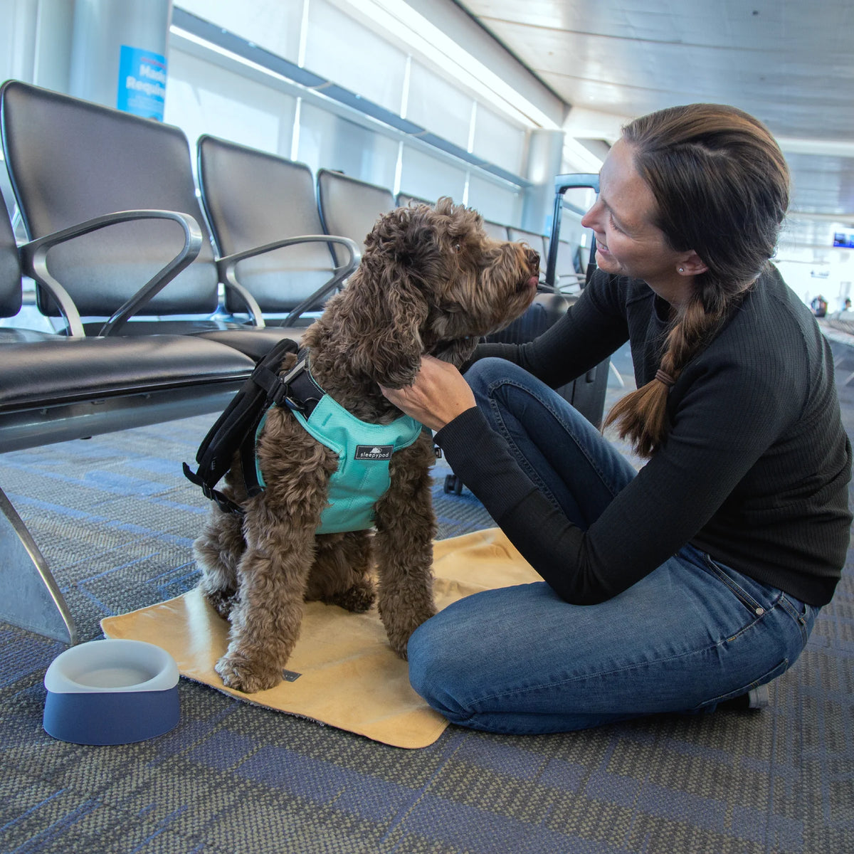 Sleepypod Travel Bowls