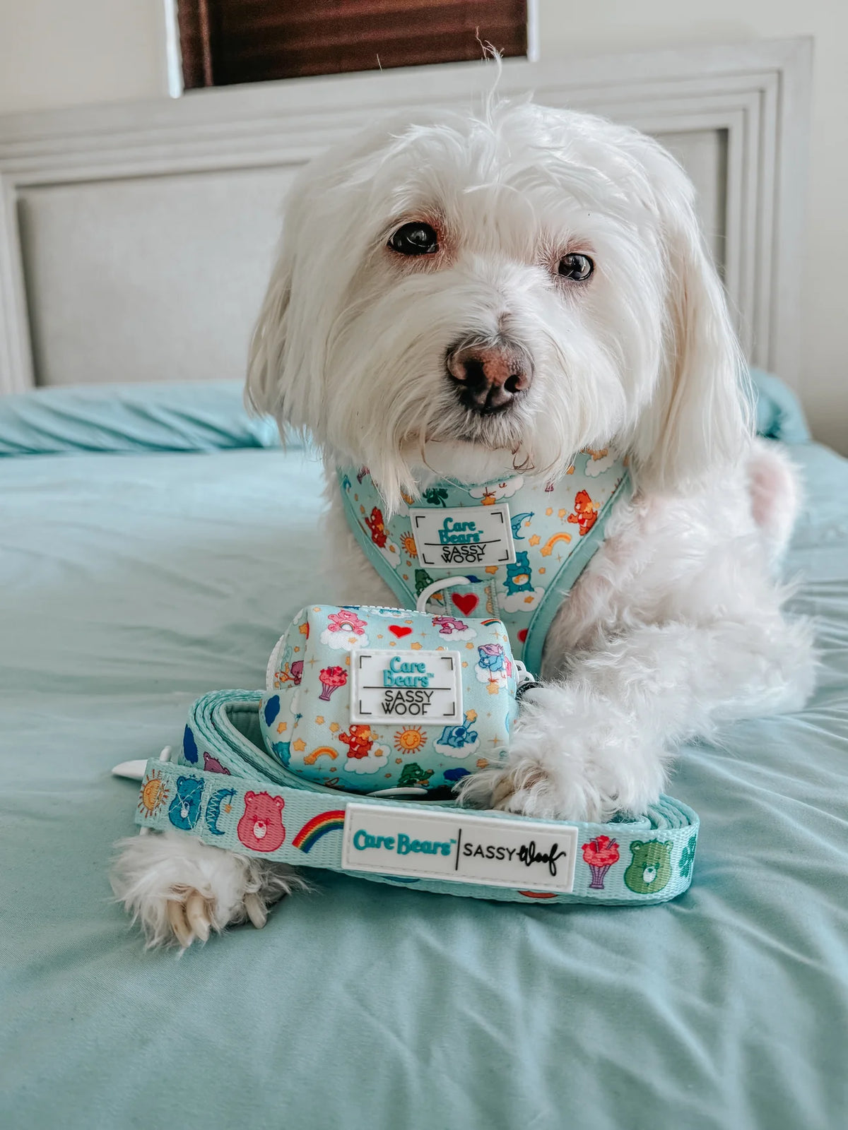 Sassy Woof Dog Adjustable Harness - Care Bears™ Care-A-Lot