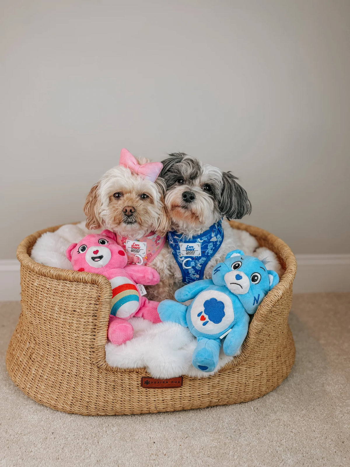 Sassy Woof Dog Adjustable Harness - Care Bears™ Cheer Bear