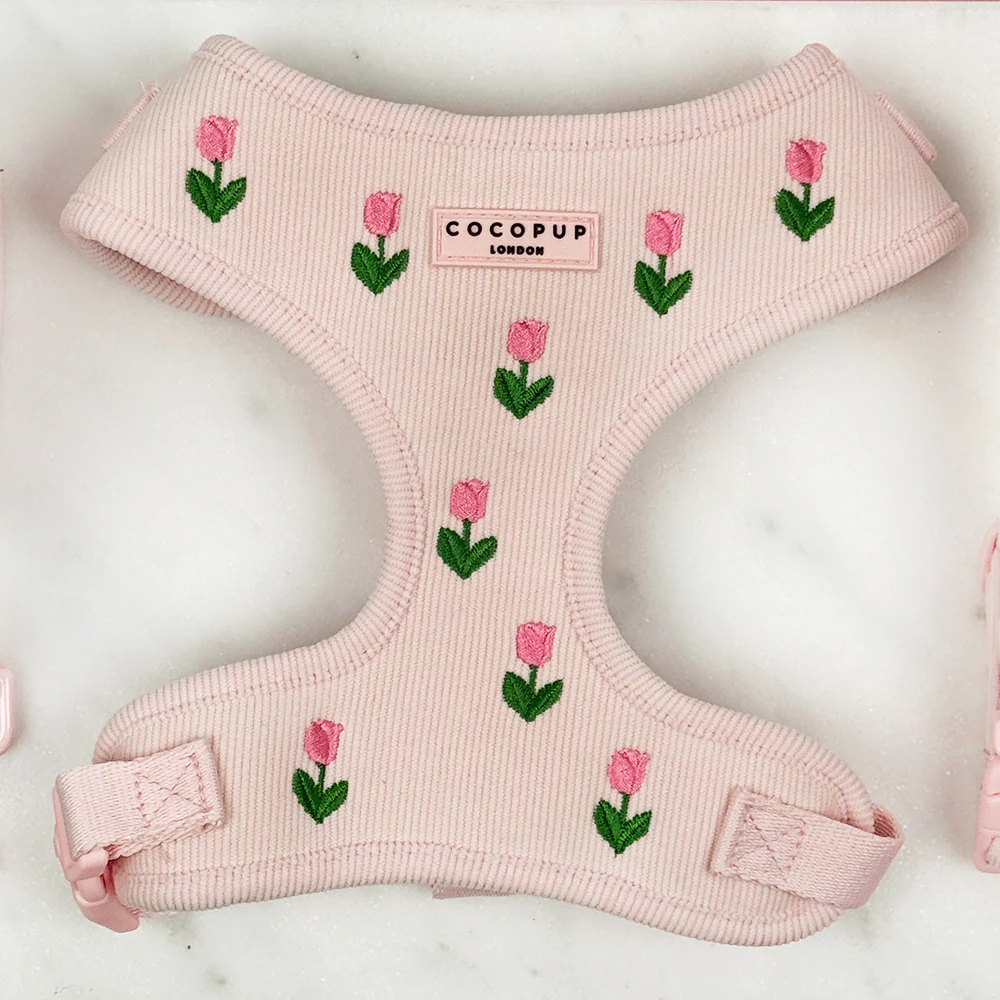 Cocopup London - Tulip Tails Walking Bundle